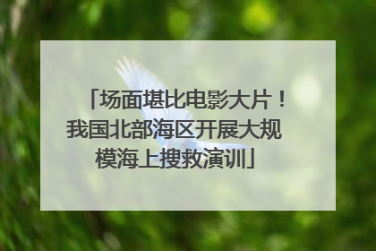 场面堪比电影大片！我国北部海区开展大规模海上搜救演训