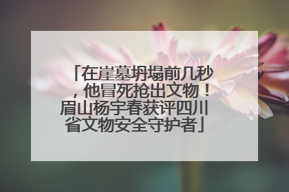 在崖墓坍塌前几秒，他冒死抢出文物！眉山杨宇春获评四川省文物安全守护者