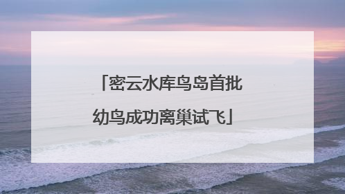 密云水库鸟岛首批幼鸟成功离巢试飞