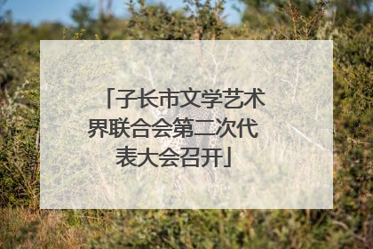 子长市文学艺术界联合会第二次代表大会召开