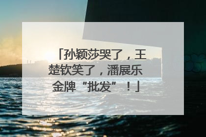 孙颖莎哭了，王楚钦笑了，潘展乐金牌“批发”！
