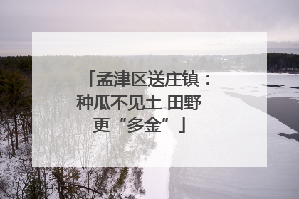 孟津区送庄镇：种瓜不见土 田野更“多金”
