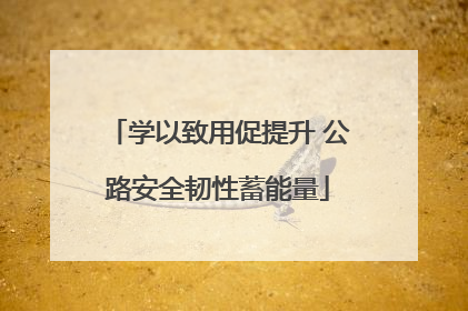 学以致用促提升 公路安全韧性蓄能量