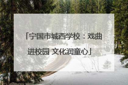 宁国市城西学校：戏曲进校园 文化润童心