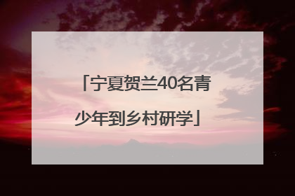 宁夏贺兰40名青少年到乡村研学