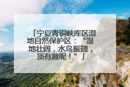 宁夏青铜峡库区湿地自然保护区：“湿地壮阔，水鸟振翅，顶有趣呢！”