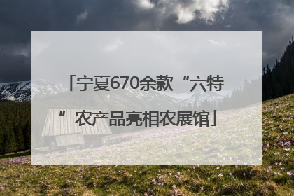 宁夏670余款“六特”农产品亮相农展馆