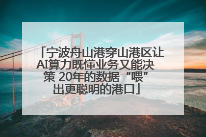 宁波舟山港穿山港区让AI算力既懂业务又能决策 20年的数据“喂”出更聪明的港口