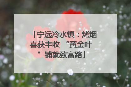 宁远冷水镇：烤烟喜获丰收 “黄金叶”铺就致富路