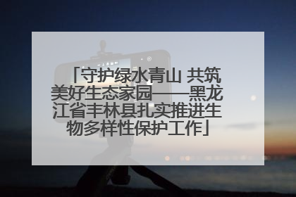 守护绿水青山 共筑美好生态家园——黑龙江省丰林县扎实推进生物多样性保护工作