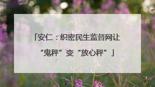 安仁：织密民生监督网让“鬼秤”变“放心秤”