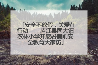 安全不放假，关爱在行动——庐江县同大镇农林小学开展暑假前安全教育大家访