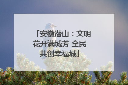 安徽潜山：文明花开满城芳 全民共创幸福城