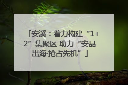 安溪：着力构建“1+2”集聚区 助力“安品出海·抢占先机”