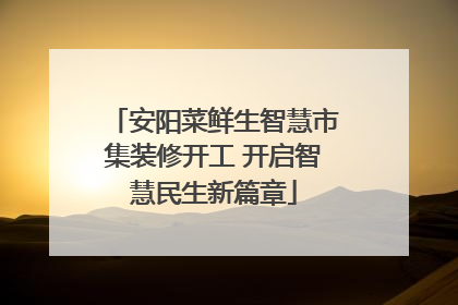 安阳菜鲜生智慧市集装修开工 开启智慧民生新篇章