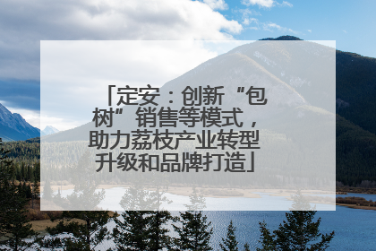 定安：创新“包树”销售等模式，助力荔枝产业转型升级和品牌打造