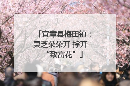 宜章县梅田镇：灵芝朵朵开 撑开“致富花”