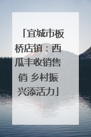 宜城市板桥店镇：西瓜丰收销售俏 乡村振兴添活力