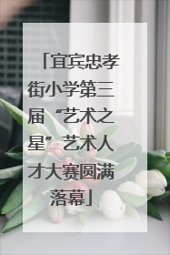 宜宾忠孝街小学第三届“艺术之星”艺术人才大赛圆满落幕
