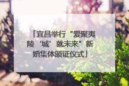 宜昌举行“爱聚夷陵‘城’就未来”新婚集体颁证仪式