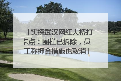 实探武汉网红大桥打卡点：围栏已拆除，员工称押金措施也取消