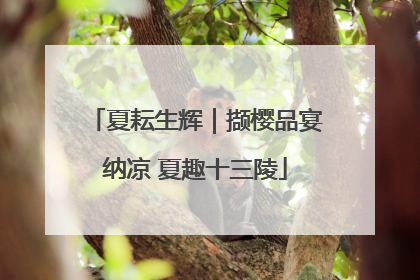 夏耘生辉｜撷樱品宴纳凉 夏趣十三陵