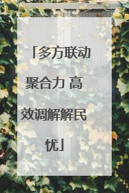 多方联动聚合力 高效调解解民忧