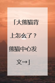 大熊猫背上怎么了？熊猫中心发文→