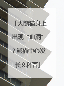 大熊猫身上出现“血洞”？熊猫中心发长文科普