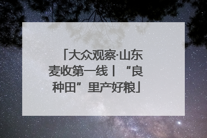 大众观察·山东麦收第一线丨“良种田”里产好粮