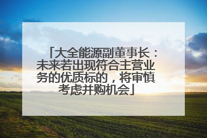 大全能源副董事长：未来若出现符合主营业务的优质标的，将审慎考虑并购机会