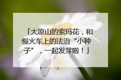 大凉山的索玛花，和慢火车上的法治“小种子”，一起发芽啦！