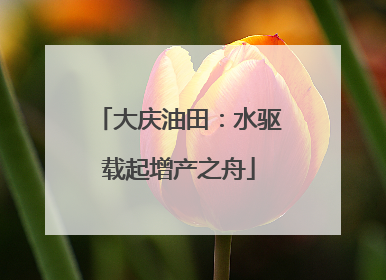 大庆油田：水驱载起增产之舟