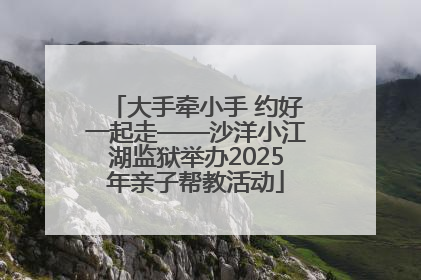 大手牵小手 约好一起走——沙洋小江湖监狱举办2025年亲子帮教活动