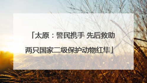 太原：警民携手 先后救助两只国家二级保护动物红隼