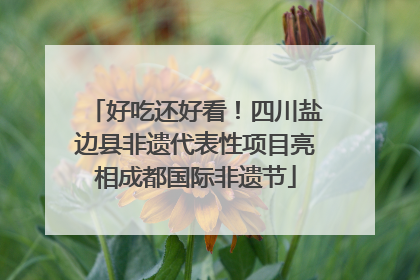 好吃还好看！四川盐边县非遗代表性项目亮相成都国际非遗节