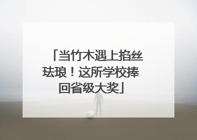 当竹木遇上掐丝珐琅！这所学校捧回省级大奖