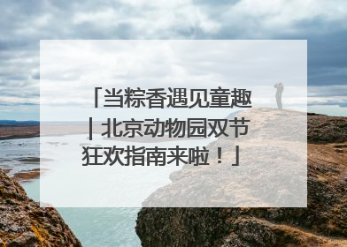 当粽香遇见童趣｜北京动物园双节狂欢指南来啦！