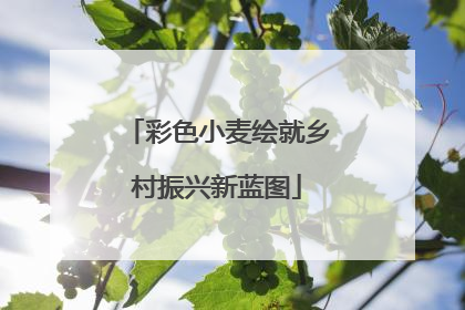 彩色小麦绘就乡村振兴新蓝图
