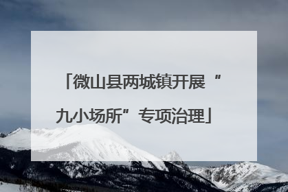 微山县两城镇开展“九小场所”专项治理
