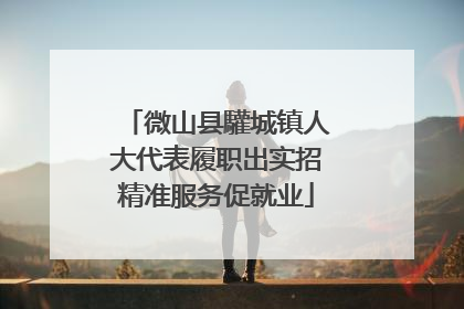 微山县驩城镇人大代表履职出实招精准服务促就业