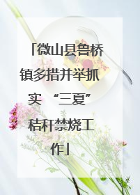 微山县鲁桥镇多措并举抓实 “三夏” 秸秆禁烧工作