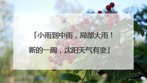 小雨到中雨，局部大雨！新的一周，沈阳天气有变