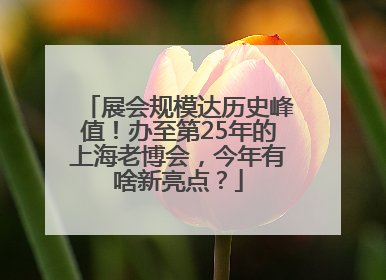 展会规模达历史峰值！办至第25年的上海老博会，今年有啥新亮点？