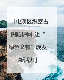 屯溪区织密古树防护网 让“绿色文物”焕发新活力