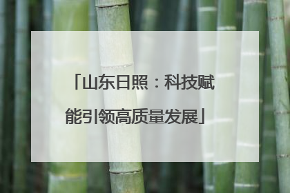 山东日照：科技赋能引领高质量发展