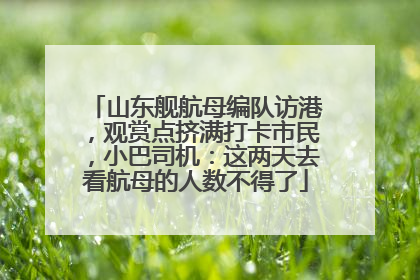 山东舰航母编队访港，观赏点挤满打卡市民，小巴司机：这两天去看航母的人数不得了