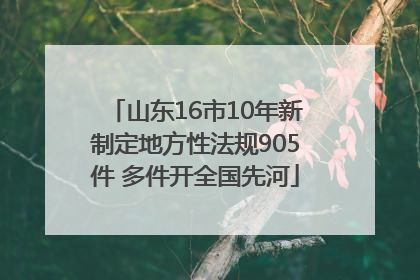 山东16市10年新制定地方性法规905件 多件开全国先河