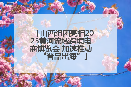 山西组团亮相2025黄河流域跨境电商博览会 加速推动“晋品出海”