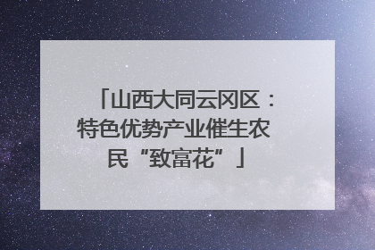 山西大同云冈区：特色优势产业催生农民“致富花”